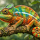 The Secret World of chameleónovité: Nature’s Masters of Change