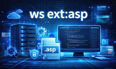 Understanding ws ext:asp Architecture in Modern Web Systems