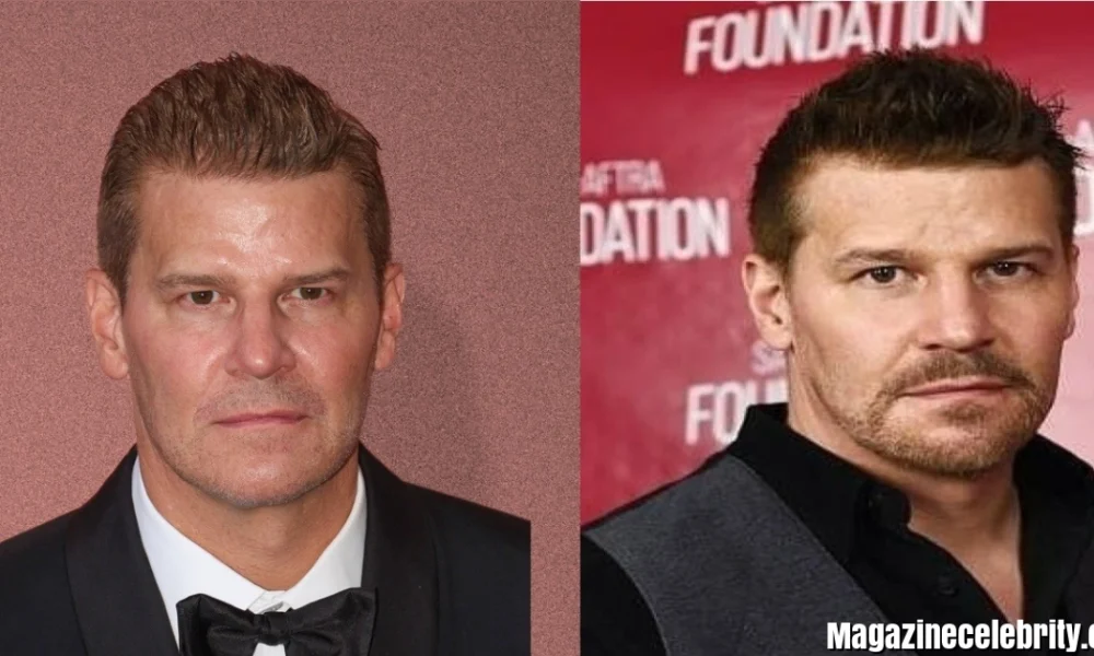 Dávid Borház 2026: Complete Guide to the Family Winery, Restaurant