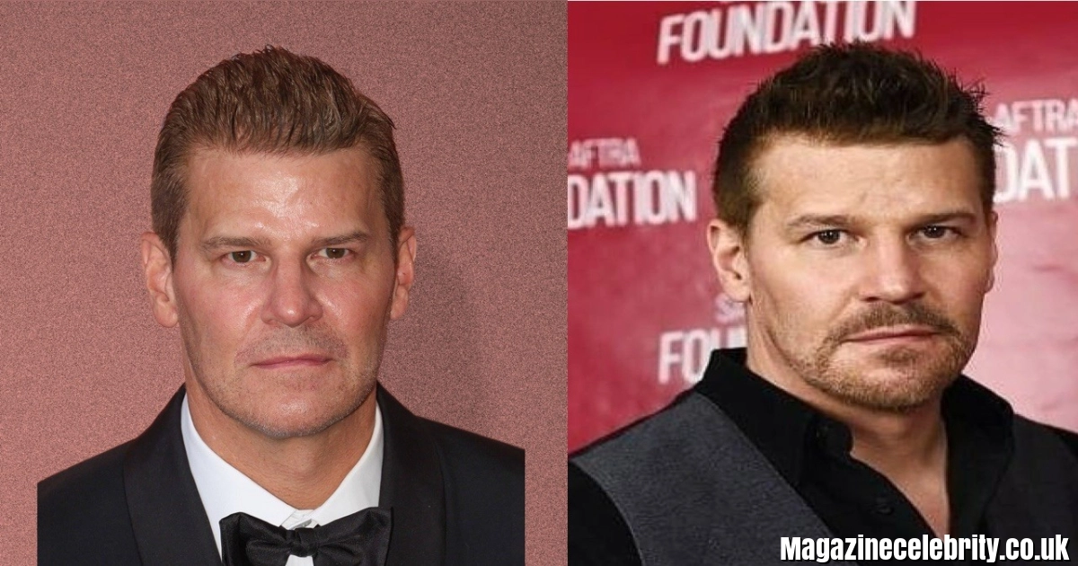 Dávid Borház 2026: Complete Guide to the Family Winery, Restaurant