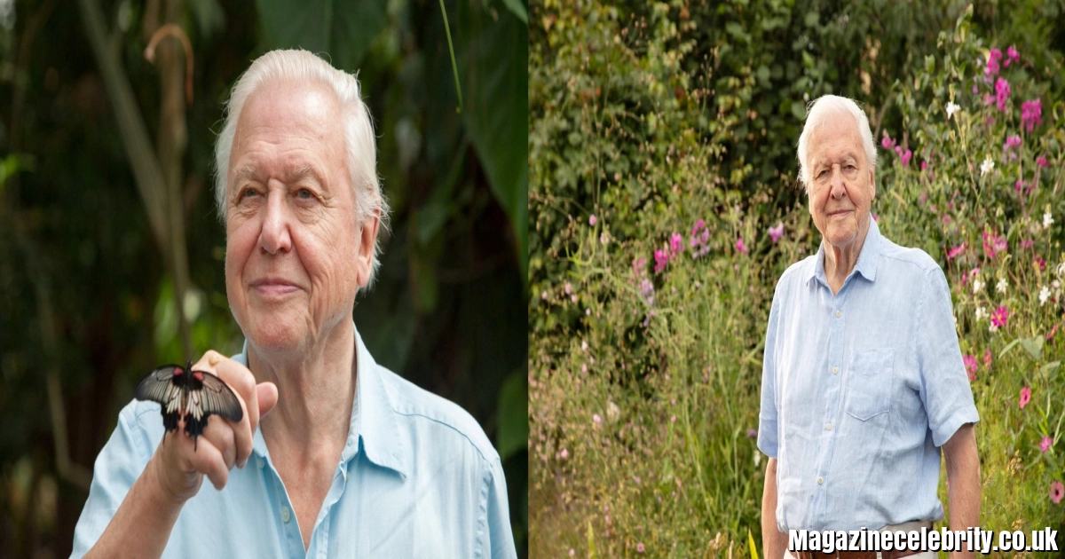 Robert Attenborough: Sir David Attenborough’s Son, Bioanthropologist
