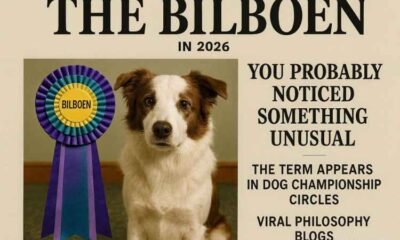 Bilboen: Bull Terrier Champion, Cultural Symbol & Digital Concept