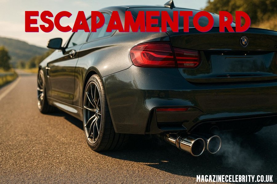 Escapamento RD: History, Performance & How to Choose the Best
