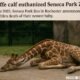 Giraffe Calf Euthanized Seneca Park Zoo