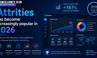 Attrities: Complete Guide to Meaning, Uses, and Industry Applications