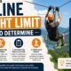 Zipline Weight Limit How To Determine